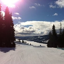 Raillinjen med &Aring;resj&ouml;n. Foto: Anette Davidsson.