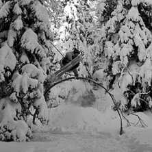 Lite jibbo. Foto: Kristian Bengtstr&ouml;m. &Aring;kare: Linus Stevrin.