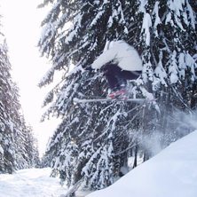 Bra puderdag i skogen ner mot Zerotta. Foto: Cissi. &Aring;kare: Gabriel Riva.