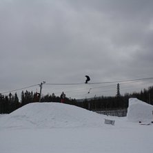 hoppet i profil. Foto: Markus nordlund. &Aring;kare: vet ej.