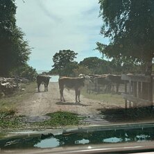 Tänndalsvallen Foto