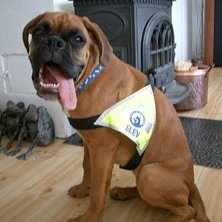 Esther poserar stolt. &Aring;kare: Esther.