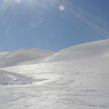 Foto: Frida Herndal.