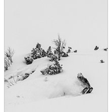 Fotograf: Ulf Graipe Skier: Fredrik Edwall.