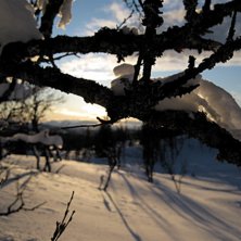 Foto: Anton Lith&eacute;n.