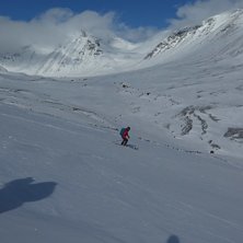 n&auml;rmast gubben vinner. Foto: tryggve tir&eacute;n.