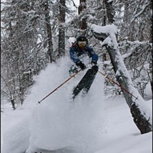 En bra dag i skogen.. Foto: Chris Skala. &Aring;kare: Patrick.