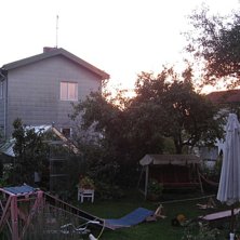 Min morsa gillar blommor och skit. Jag gillar skid. Foto: Hjalle. &Aring;kare: V&auml;xter.