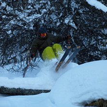 Fanns m&aring;nga kuddar att v&auml;lja p&aring; den dagen. Foto: Erik Andersson. &Aring;kare: Per Andersson.
