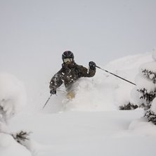 Puuder. Foto: www.felixoppenheim.com. &Aring;kare: Mathias Burestam.
