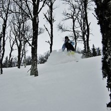 Foto: Mattias L&ouml;fvenebrg. &Aring;kare: Marcus L&ouml;fvenberg.
