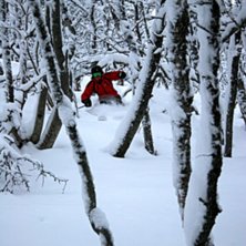 Foto: tobias kajbring. &Aring;kare: Mikael kajbring.