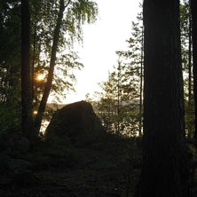 Foto: Sofia &amp;quot;Gnarly&amp;quot; Aronson.