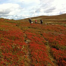 Tänndalsvallen Foto