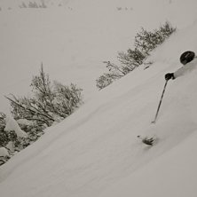 Foto: Felix Grunert. &Aring;kare: Rikard Lindblad.