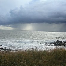 ute med kamran en sv&auml;ng. Foto: ola andersson.