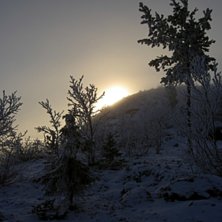 En tidig November morgon, solen k&auml;mpar f&ouml;r att n. Foto: Emma Karvonen.