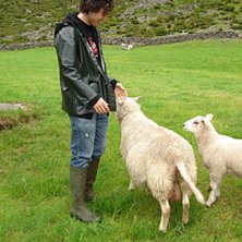 Vidar matar sociala f&aring;r. Foto: frida.