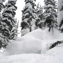 Foto: Martin Stenberg. &Aring;kare: Johan Olofsson.