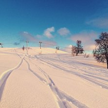 De deilige forholdene fortsetter!
Sola skinner for.