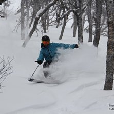 En h&auml;rlig dag i pudret i Tegeskogen.. Foto: Claes Jerveland. &Aring;kare: Bj&ouml;rn Jerveland.