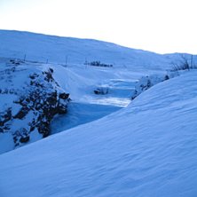 En Jokk hade blivit offer f&ouml;r kylan och hade frus. Foto: Erik Thorsell.