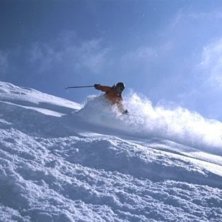 Foto: Anders Merenius. &Aring;kare: Monica Eriksson.