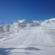 Vinterferie og nydelige forhold
Med silkef&oslash;re, 10.