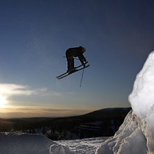 Nosegrab. Foto: Claes Lind(Claaees). &Aring;kare: Henrik Gustafsson.