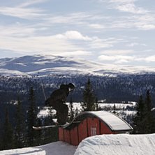 Foto: Cecilia V&auml;h&auml;nikkil&auml;. &Aring;kare: M&aring;rten Bergkvist.