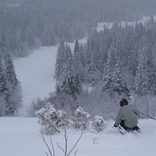 Foto: Alexander Bod&eacute;n. &Aring;kare: Gustav Bod&eacute;n.