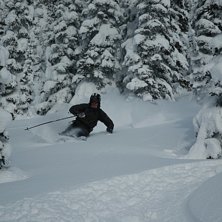 Foto: G&ouml;ran M&aring;nsson. &Aring;kare: Johan Olofsson.