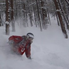 Serre. Foto: Anton Lif. &Aring;kare: Alex.