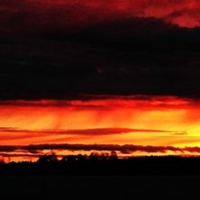 Foto: Anton Zakariasson.