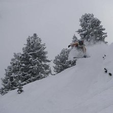 Foto: Linus Karlsson. &Aring;kare: Daniel Gr&ouml;nberg.