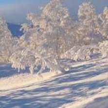 Slalom eller storslalom?. Foto: Eva K&auml;llander.