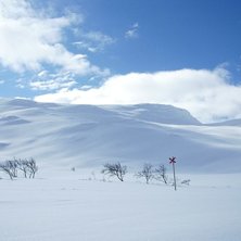 Foto: Amalia Amr&eacute;n.