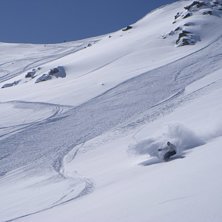 Foto: H&aring;kan Cervin. &Aring;kare: Niklas.