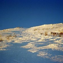 En trevlig backe... Foto: Johanna Estving.