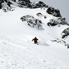 Exit banana peel into La Mouche bowl. Foto: Alex Gasson. &Aring;kare: Thijs de Jong.