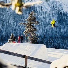 Vet inte &aring;karen s&aring; ni f&aring;r g&auml;rna s&auml;ga om ni ve. Foto: Andr&eacute; Nordblom.