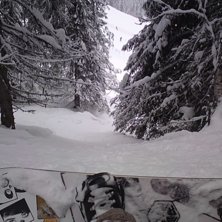 vi var mest i skogen f&ouml;r att det fanns ca: 60-100. Foto: Kalle Nilsson. &Aring;kare: Kalle Nilsson.