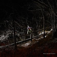 tr&auml;r&auml;cke . Foto: Alexander Davidson. &Aring;kare: Robin Davidson.