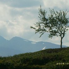 Foto: Johanna westerlund.