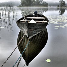 Lite hdrfippel.. Foto: Petteri Koste.