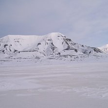Fr&aring;n havsisen. Foto: Jag.