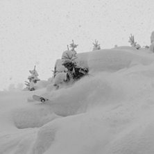 Foto: Andrew Lerner. &Aring;kare: Mattias Johansson.