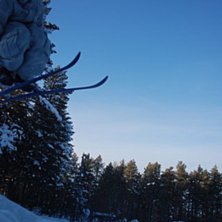 hon tog f&ouml;rtidigt=/. Foto: sorre. &Aring;kare: jag.