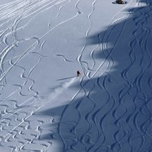 Bagge som br&auml;nner genom kortsv&auml;ngarnas paradis. Foto: Emil Persson. &Aring;kare: Ok&auml;nd.