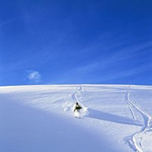 R&auml;tt lik en bild ur Langleykatalogen kanske?. Foto: Peter Sundstr&ouml;m. &Aring;kare: Rufus Ziesig.